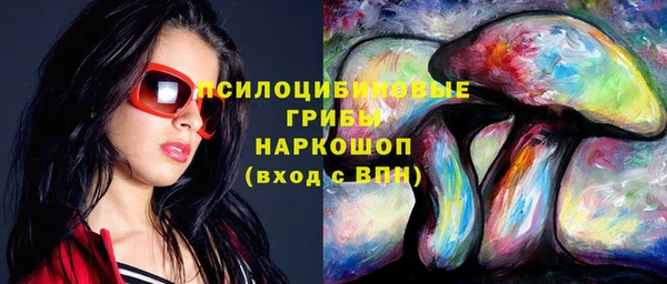 ешки Богданович