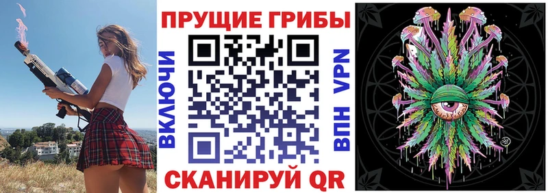 Псилоцибиновые грибы Psilocybe  Кирсанов 